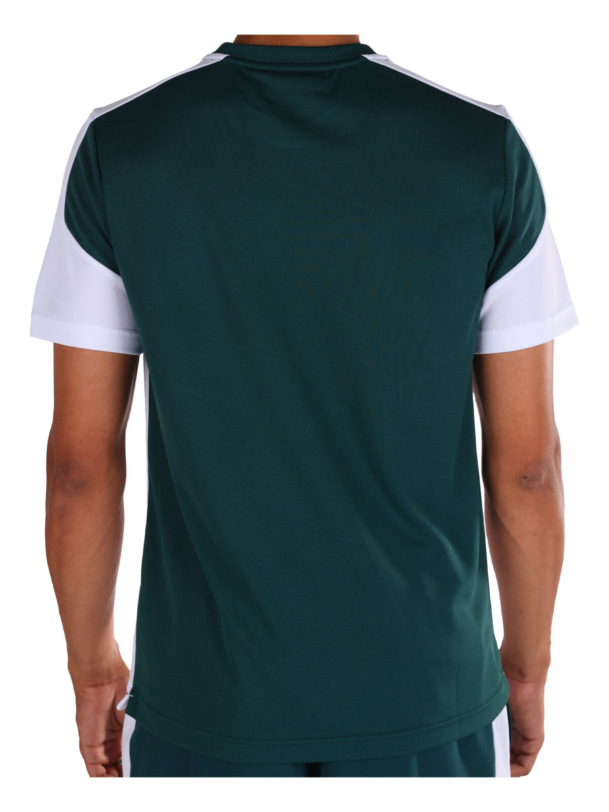 Sergio Tacchini T-shirt Giardino PL – Image 3