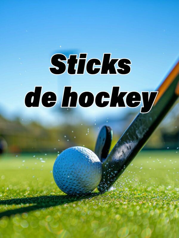 Sticks de hockey